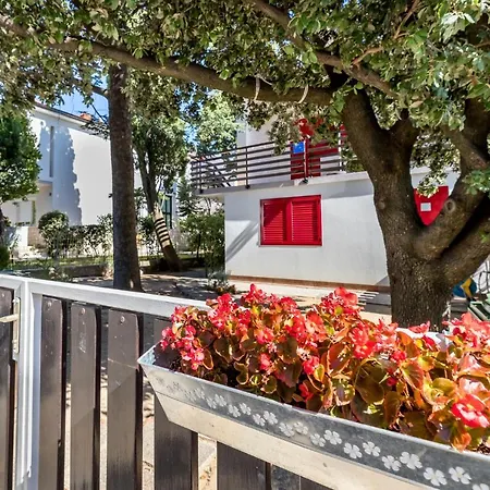 Apartman Alan